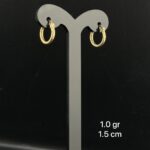 Arracada ligera oro amarillo 10kilates